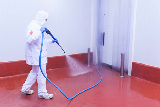Best Solar Panel Cleaning  in Lake Placid, FL