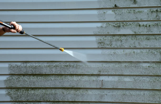 Best Building Exterior Washing  in Lake Placid, FL